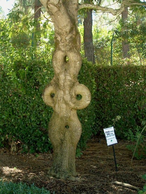 Gilroy Gardens Family Theme Park park