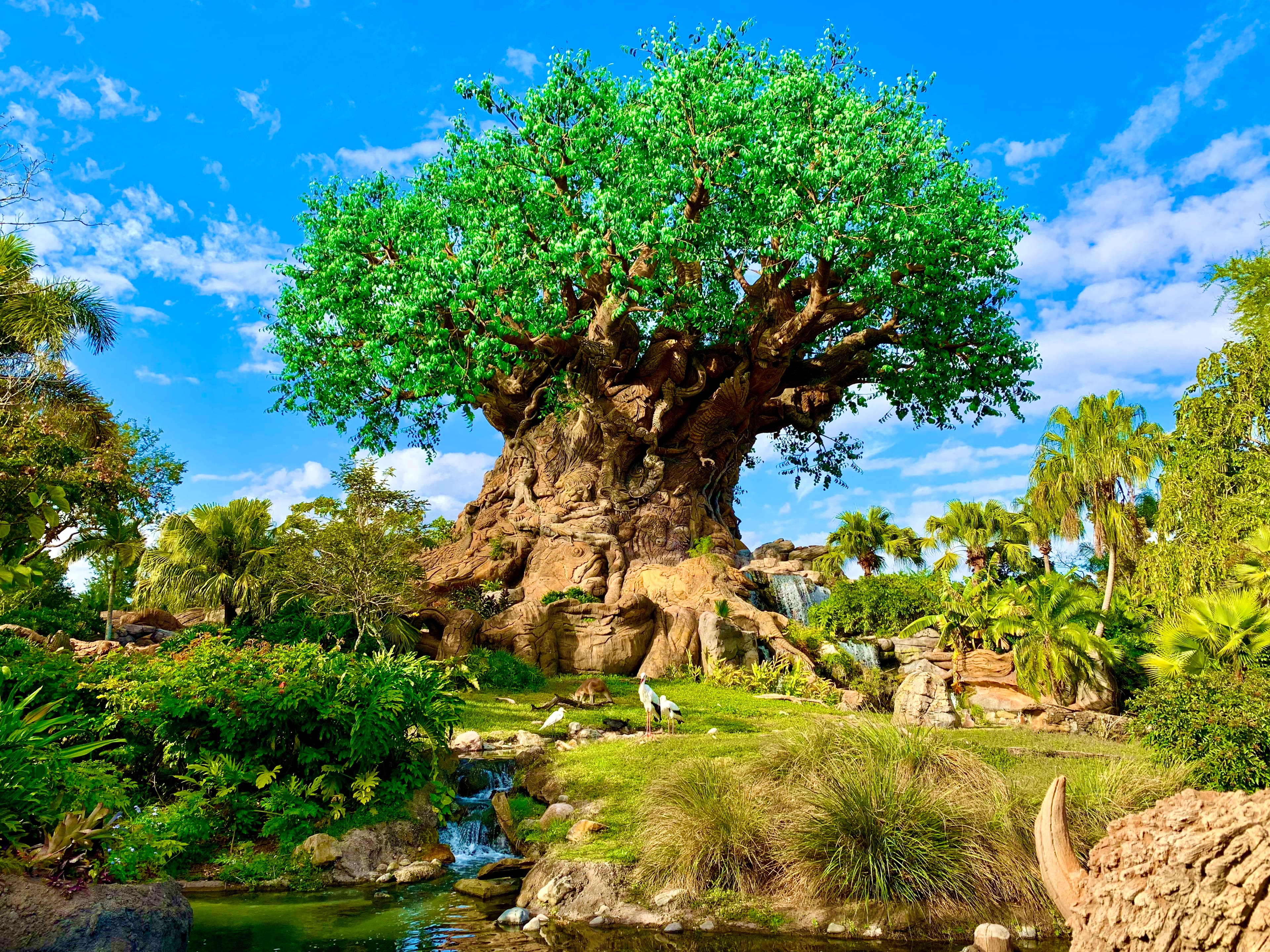 Disney's Animal Kingdom Theme Park park